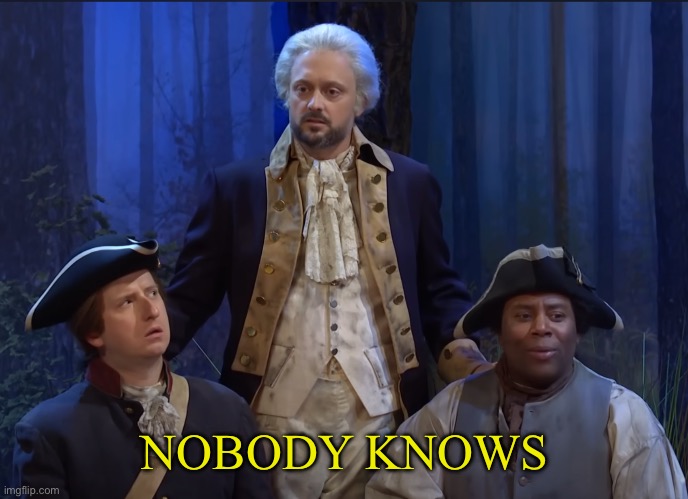 SNL George Washington Nobody Knows | NOBODY KNOWS | image tagged in snl george washington nobody knows | made w/ Imgflip meme maker