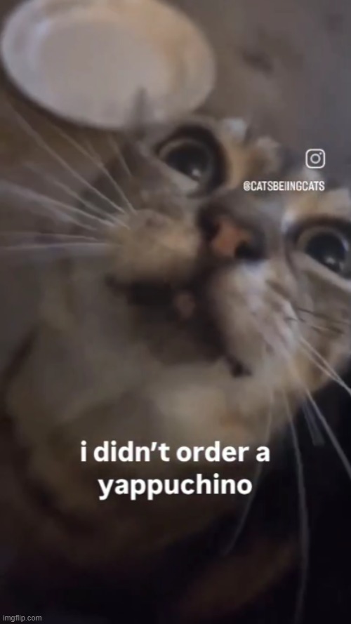 i didnt order a yappuchino | image tagged in i didnt order a yappuchino | made w/ Imgflip meme maker