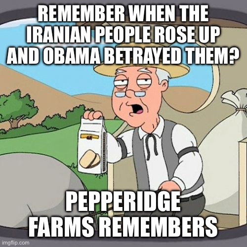 If he hadn’t they’d be a republic. | REMEMBER WHEN THE IRANIAN PEOPLE ROSE UP AND OBAMA BETRAYED THEM? PEPPERIDGE FARMS REMEMBERS | image tagged in memes,pepperidge farm remembers,politics,iran,barack obama | made w/ Imgflip meme maker