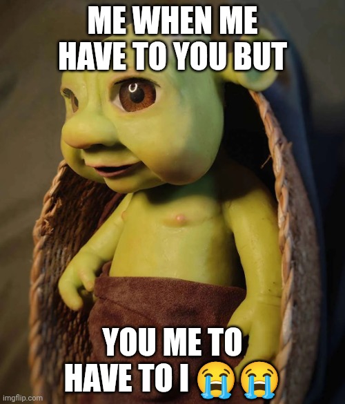 Baby Shrek | ME WHEN ME HAVE TO YOU BUT; YOU ME TO HAVE TO I 😭😭 | image tagged in baby shrek | made w/ Imgflip meme maker