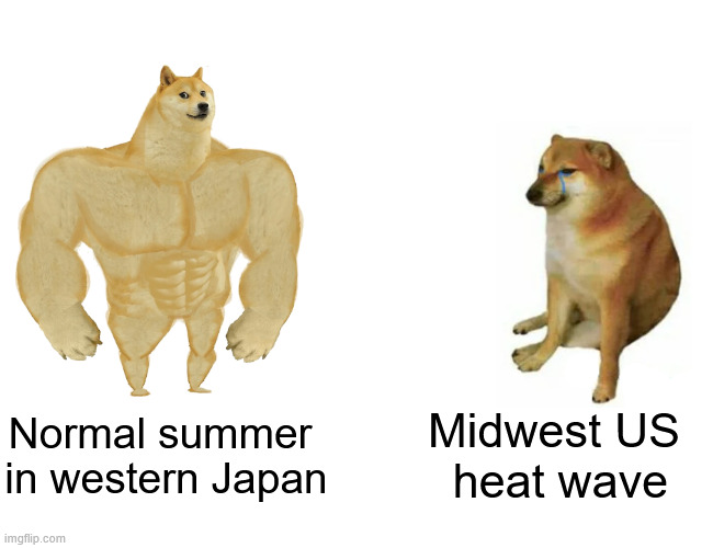 Buff Doge vs. Cheems Meme | Normal summer 
in western Japan; Midwest US 
heat wave | image tagged in memes,buff doge vs cheems | made w/ Imgflip meme maker