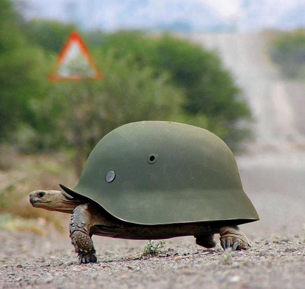 Panzer Turtle Blank Meme Template