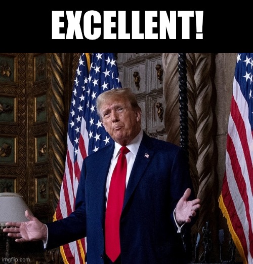 EXCELLENT! | made w/ Imgflip meme maker