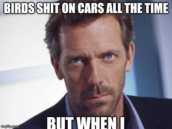 Dr. Gregory House | BIRDS SHIT ON CARS ALL THE TIME; BUT WHEN I | image tagged in dr gregory house | made w/ Imgflip meme maker