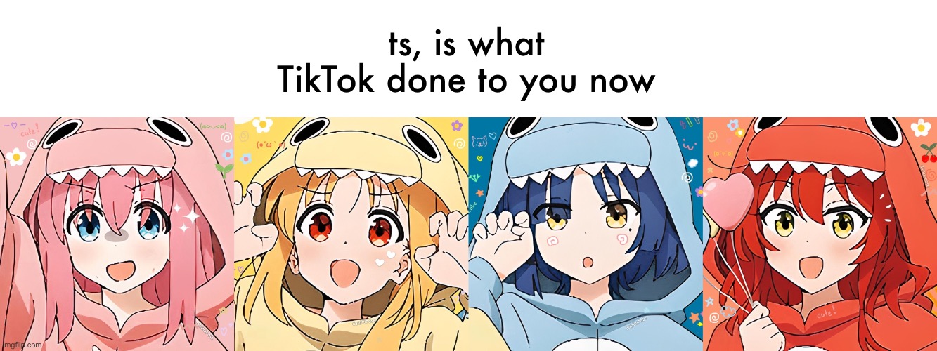good show, terrible pfp | ts, is what TikTok done to you now | image tagged in bocchi the rock | made w/ Imgflip meme maker