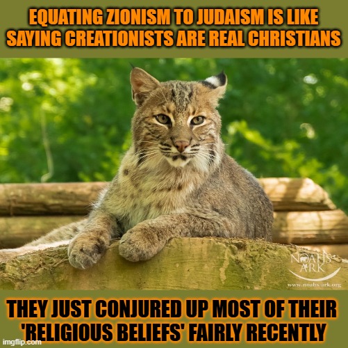 This #lolcat wonders why hoo-mans think every Jew is a zionist | EQUATING ZIONISM TO JUDAISM IS LIKE SAYING CREATIONISTS ARE REAL CHRISTIANS; THEY JUST CONJURED UP MOST OF THEIR 
'RELIGIOUS BELIEFS' FAIRLY RECENTLY | image tagged in jews,israel jews,zionism,stupid people,lolcat | made w/ Imgflip meme maker