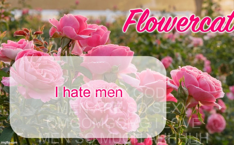 Flowercat template | OH MY GOD MEN ARE SO SEXY OMGOMGOMG I LOVE MEN SO MUCH AHHHHH; I hate men | image tagged in flowercat template | made w/ Imgflip meme maker