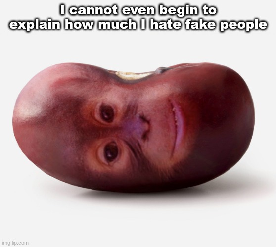 Primate | I cannot even begin to explain how much I hate fake people | image tagged in primate | made w/ Imgflip meme maker