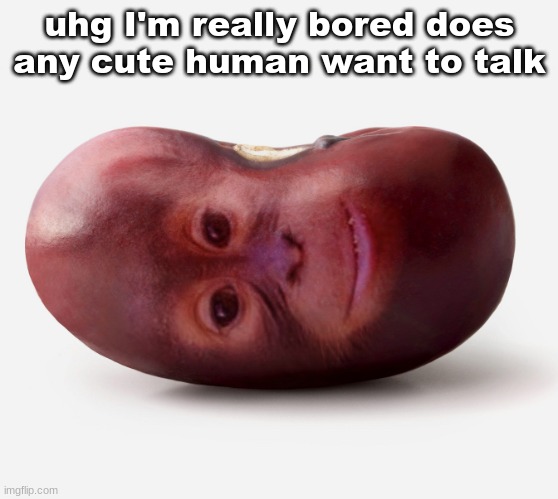 Primate | uhg I'm really bored does any cute human want to talk | image tagged in primate | made w/ Imgflip meme maker
