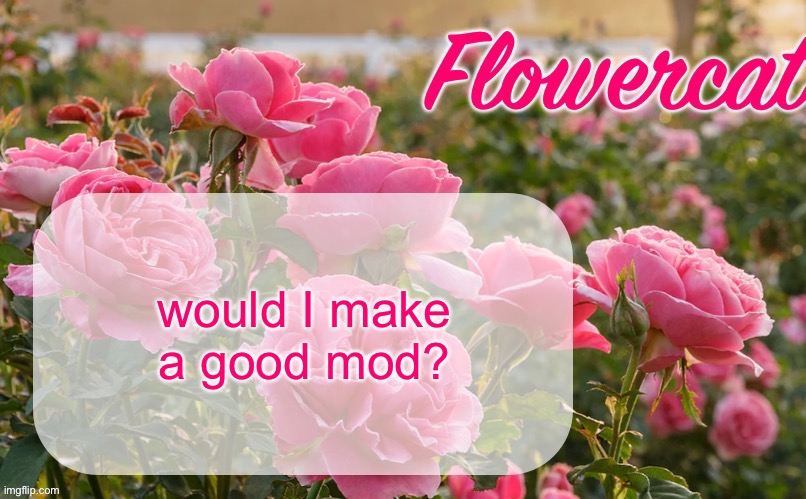 I’m honestly not sure if I’d be a good mod or not. It’d be fun | would I make a good mod? | image tagged in flowercat template | made w/ Imgflip meme maker