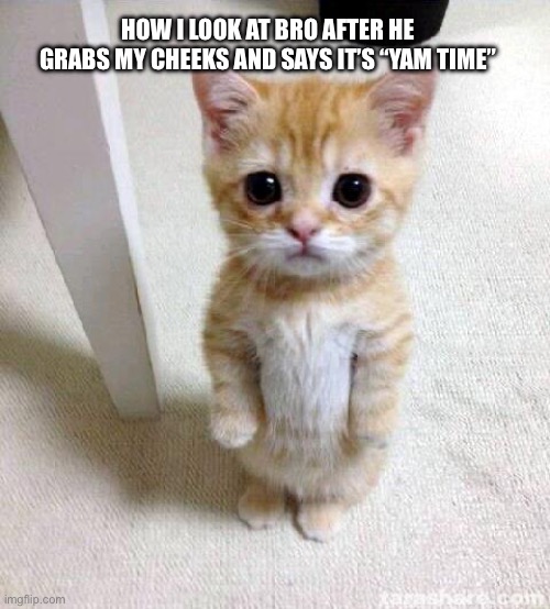 I’m js a chill guy | HOW I LOOK AT BRO AFTER HE GRABS MY CHEEKS AND SAYS IT’S “YAM TIME” | image tagged in memes,cute cat | made w/ Imgflip meme maker