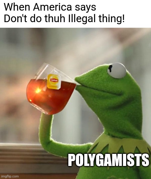 When America says Don't do thuh Illegal thing! POLYGAMISTS | image tagged in memes,but that's none of my business | made w/ Imgflip meme maker