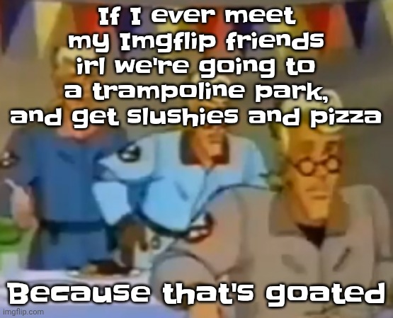 mitosis | If I ever meet my Imgflip friends irl we're going to a trampoline park, and get slushies and pizza; Because that's goated | image tagged in mitosis | made w/ Imgflip meme maker