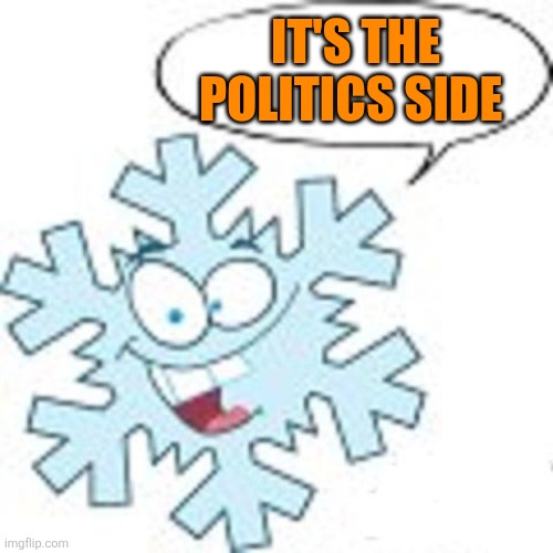 Snowflake | IT'S THE POLITICS SIDE | image tagged in snowflake | made w/ Imgflip meme maker