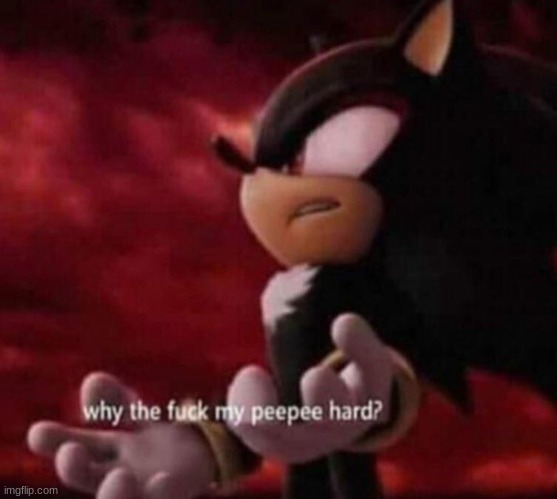 image tagged in why the fuck my peepee hard | made w/ Imgflip meme maker
