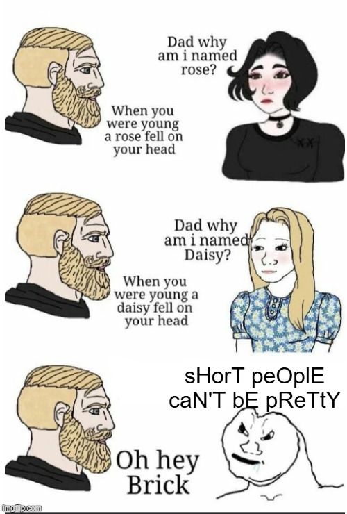 Black and white with no shades of grey | sHorT peOplE caN'T bE pReTtY | image tagged in oh hey brick | made w/ Imgflip meme maker