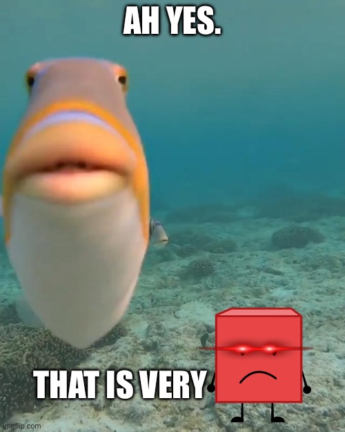 DO NOT COMBINE BLOCKY AND FISH- | AH YES. THAT IS VERY | image tagged in staring fish,bfdi | made w/ Imgflip meme maker