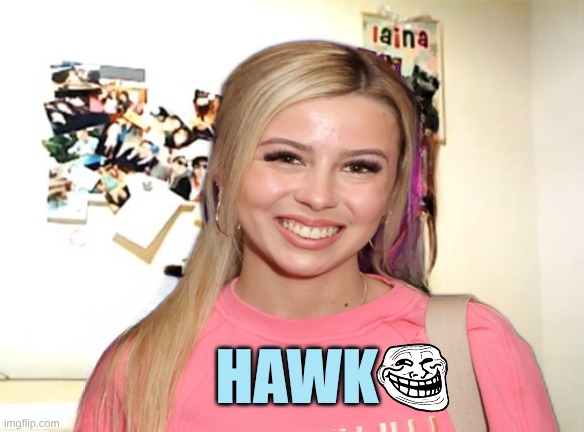 HAWK | made w/ Imgflip meme maker