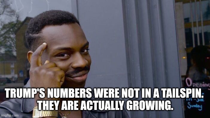Roll Safe Think About It Meme | TRUMP'S NUMBERS WERE NOT IN A TAILSPIN. 
THEY ARE ACTUALLY GROWING. | image tagged in memes,roll safe think about it | made w/ Imgflip meme maker