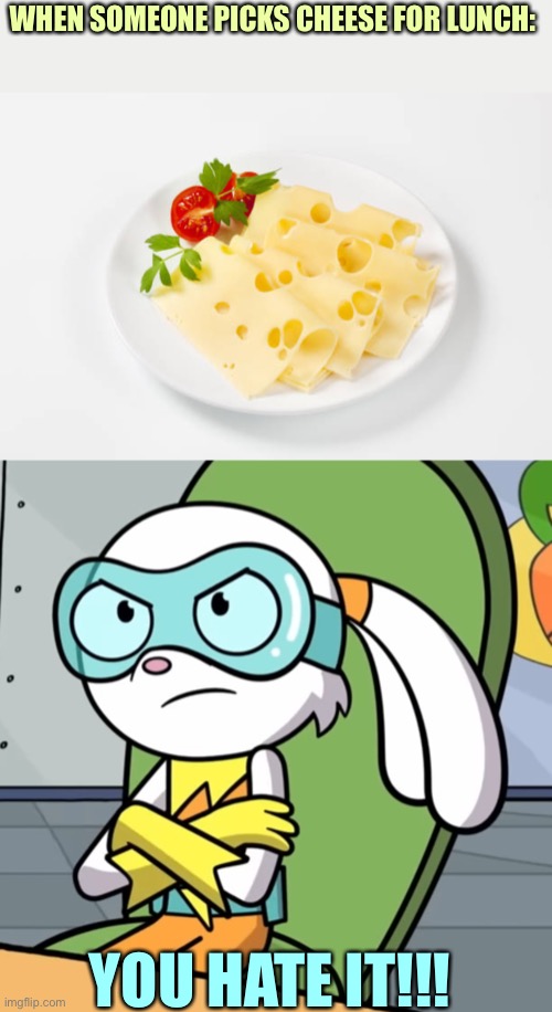 Cheese hatred | WHEN SOMEONE PICKS CHEESE FOR LUNCH:; YOU HATE IT!!! | image tagged in food memes,cheese,funny memes,bunnies | made w/ Imgflip meme maker