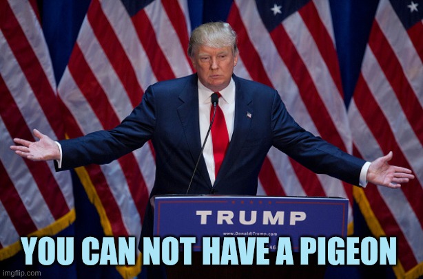 Donald Trump | YOU CAN NOT HAVE A PIGEON | image tagged in donald trump | made w/ Imgflip meme maker