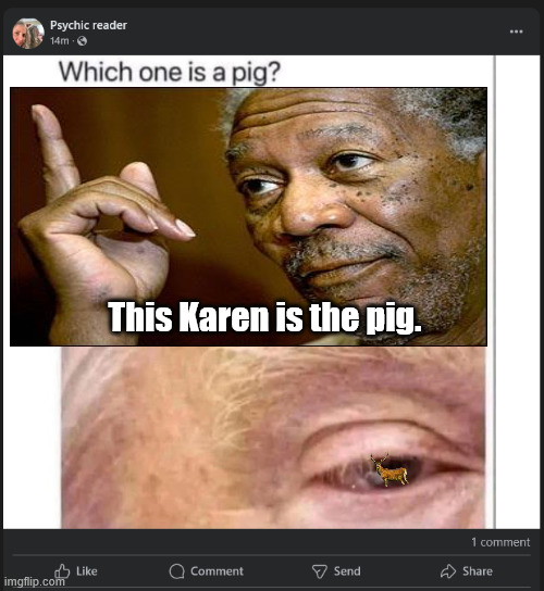 NaturalizedDeer | This Karen is the pig. | image tagged in donald trump,trump,karen,deer,illegal aliens,ice | made w/ Imgflip meme maker