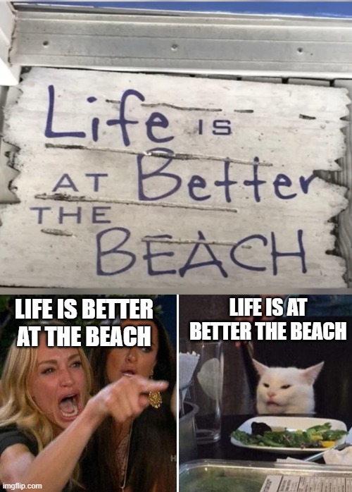 Beach Sign | LIFE IS AT BETTER THE BEACH; LIFE IS BETTER AT THE BEACH | image tagged in angry lady cat | made w/ Imgflip meme maker