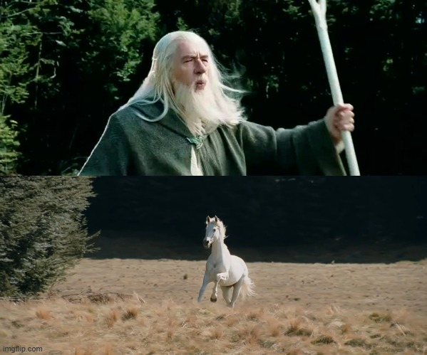 gandalf whistle Blank Meme Template
