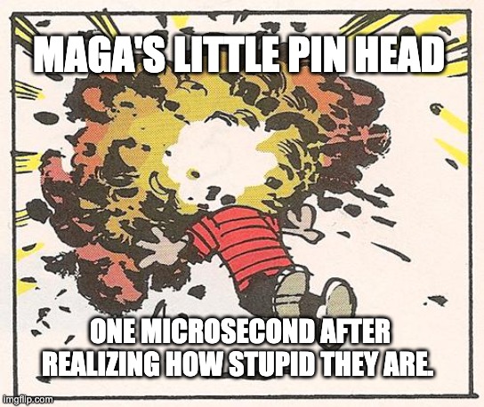Pinhead Maga's.  Dunning-Kruger at work | MAGA'S LITTLE PIN HEAD; ONE MICROSECOND AFTER REALIZING HOW STUPID THEY ARE. | image tagged in calvin - head explode | made w/ Imgflip meme maker