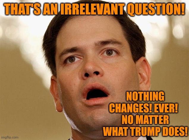 Little Marco Rubio | THAT'S AN IRRELEVANT QUESTION! NOTHING CHANGES! EVER!  
NO MATTER WHAT TRUMP DOES! | image tagged in little marco rubio | made w/ Imgflip meme maker