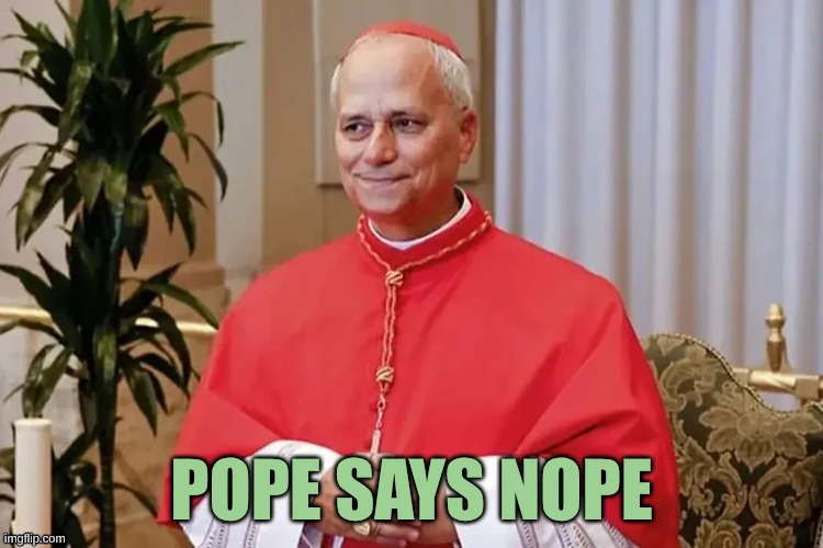 Pope Ate It | POPE SAYS NOPE | image tagged in pope ate it | made w/ Imgflip meme maker