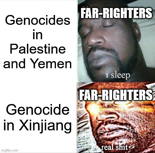 Genocide Double Standard | FAR-RIGHTERS; Genocides in Palestine and Yemen; FAR-RIGHTERS; Genocide in Xinjiang | image tagged in memes,sleeping shaq,genocide,palestine,yemen,xinjang | made w/ Imgflip meme maker