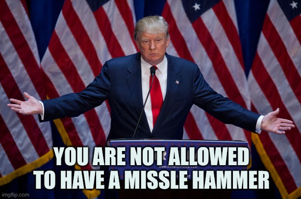 Donald Trump | YOU ARE NOT ALLOWED TO HAVE A MISSLE HAMMER | image tagged in donald trump | made w/ Imgflip meme maker