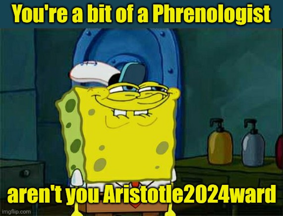 Don't You Squidward Meme | You're a bit of a Phrenologist aren't you Aristotle2024ward | image tagged in memes,don't you squidward | made w/ Imgflip meme maker