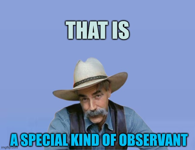 Special Kind of Extra | THAT IS A SPECIAL KIND OF OBSERVANT | image tagged in special kind of extra | made w/ Imgflip meme maker