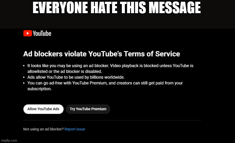 True | EVERYONE HATE THIS MESSAGE | image tagged in youtube,meme,ads,lattice climbing,climbing,humor | made w/ Imgflip meme maker