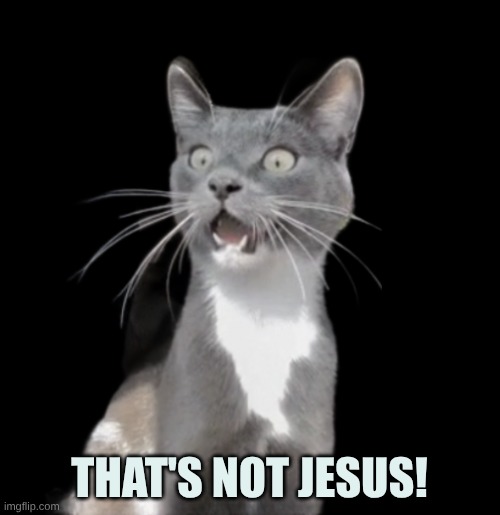 Fake Jesus | THAT'S NOT JESUS! | image tagged in speechless cat,word of jesus,first world problems,third world skeptical kid,fake news,fake | made w/ Imgflip meme maker