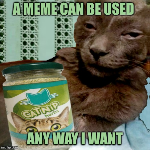 Free The Memes! | A MEME CAN BE USED; ANY WAY I WANT | image tagged in freedom,meanwhile on imgflip,free speech,cat meme,dank,imgflip | made w/ Imgflip meme maker