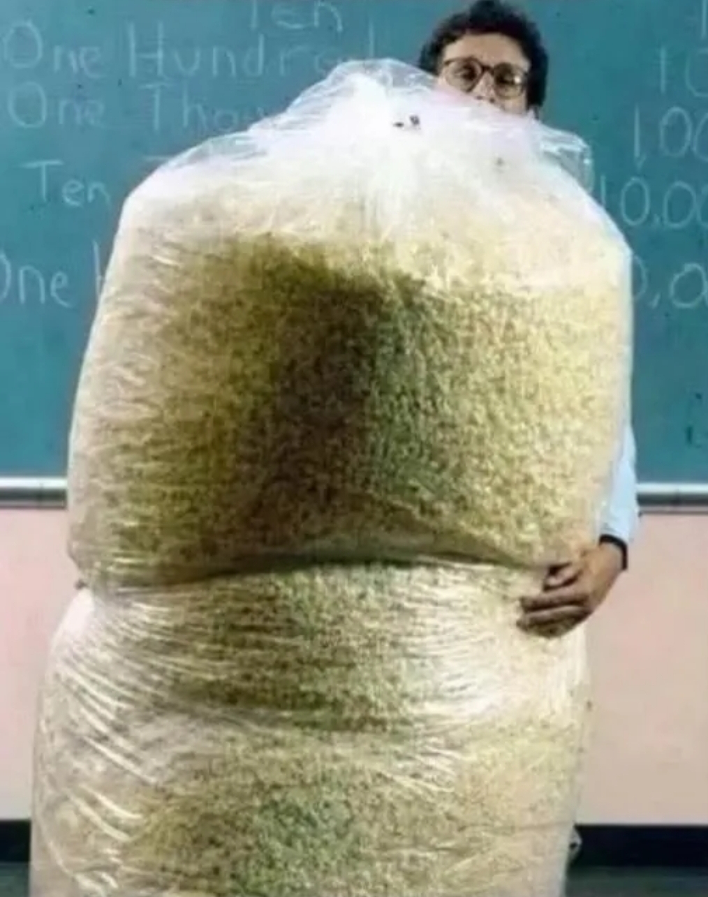 Big Bag of Popcorn Blank Meme Template