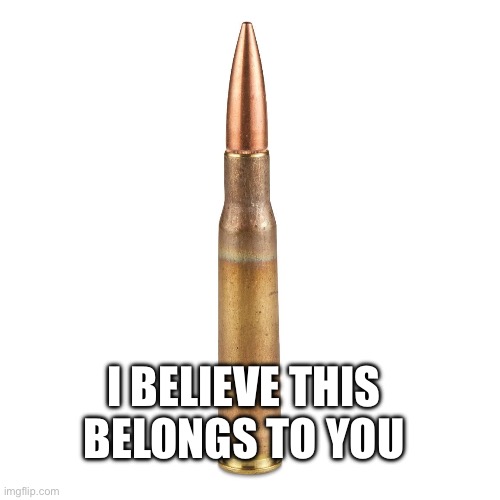 I BELIEVE THIS BELONGS TO YOU | image tagged in 50 cal | made w/ Imgflip meme maker