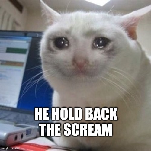 Crying cat | HE HOLD BACK 
THE SCREAM | image tagged in crying cat | made w/ Imgflip meme maker