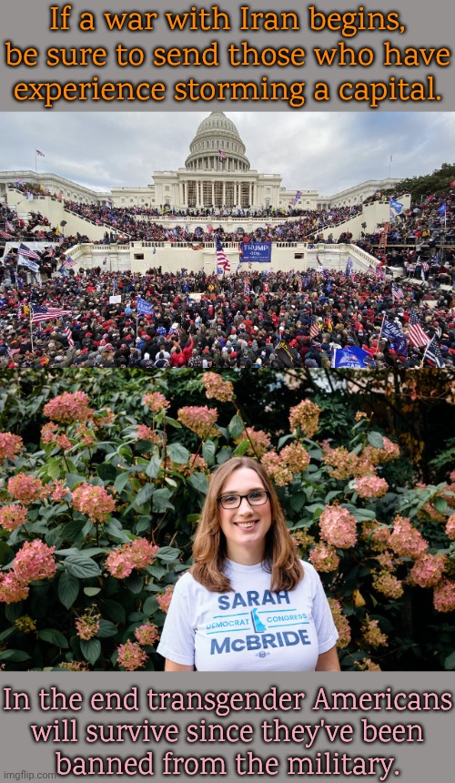 Natural selection. | If a war with Iran begins, be sure to send those who have
experience storming a capital. In the end transgender Americans
will survive since | image tagged in january 6 rioters on capitol steps,sarah mcbride,wars,toy soldiers,discrimination,mad karma | made w/ Imgflip meme maker