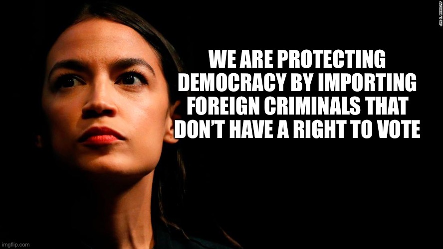 ocasio-cortez super genius | WE ARE PROTECTING DEMOCRACY BY IMPORTING FOREIGN CRIMINALS THAT DON’T HAVE A RIGHT TO VOTE | image tagged in ocasio-cortez super genius | made w/ Imgflip meme maker