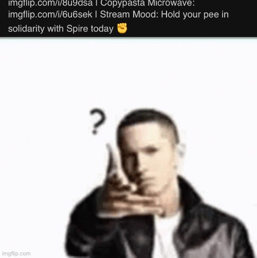 Do I even want to ask or nah? | image tagged in eminem question mark | made w/ Imgflip meme maker