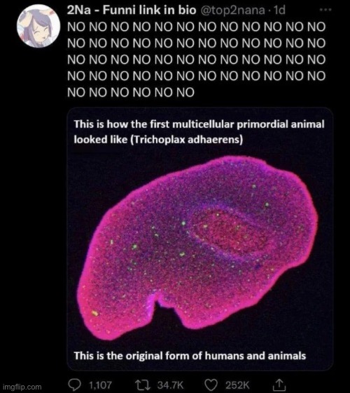 . | made w/ Imgflip meme maker