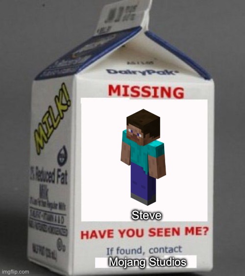Steve is missing | Steve; Mojang Studios | image tagged in milk carton,minecraft,missing,mojang | made w/ Imgflip meme maker