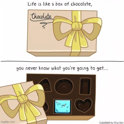 image tagged in forrest gump,box of chocolates,forrest gump box of chocolates,ice cube,chocolate,yum | made w/ Imgflip meme maker