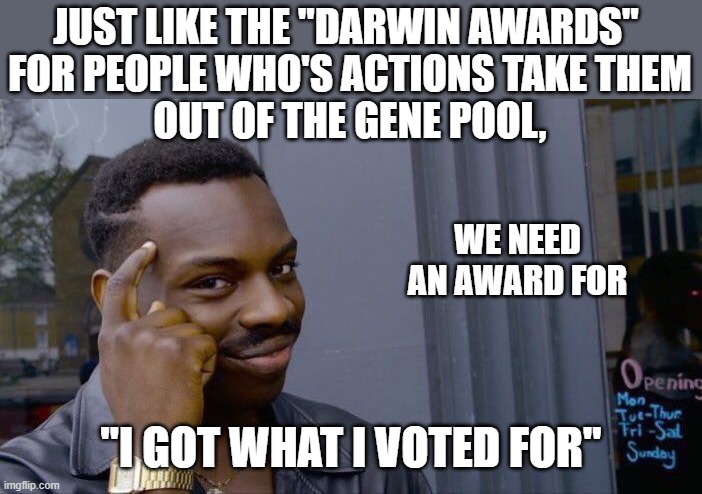 Maybe we can give it to Iran | JUST LIKE THE "DARWIN AWARDS" 
FOR PEOPLE WHO'S ACTIONS TAKE THEM
OUT OF THE GENE POOL, WE NEED AN AWARD FOR; "I GOT WHAT I VOTED FOR" | image tagged in memes,roll safe think about it | made w/ Imgflip meme maker