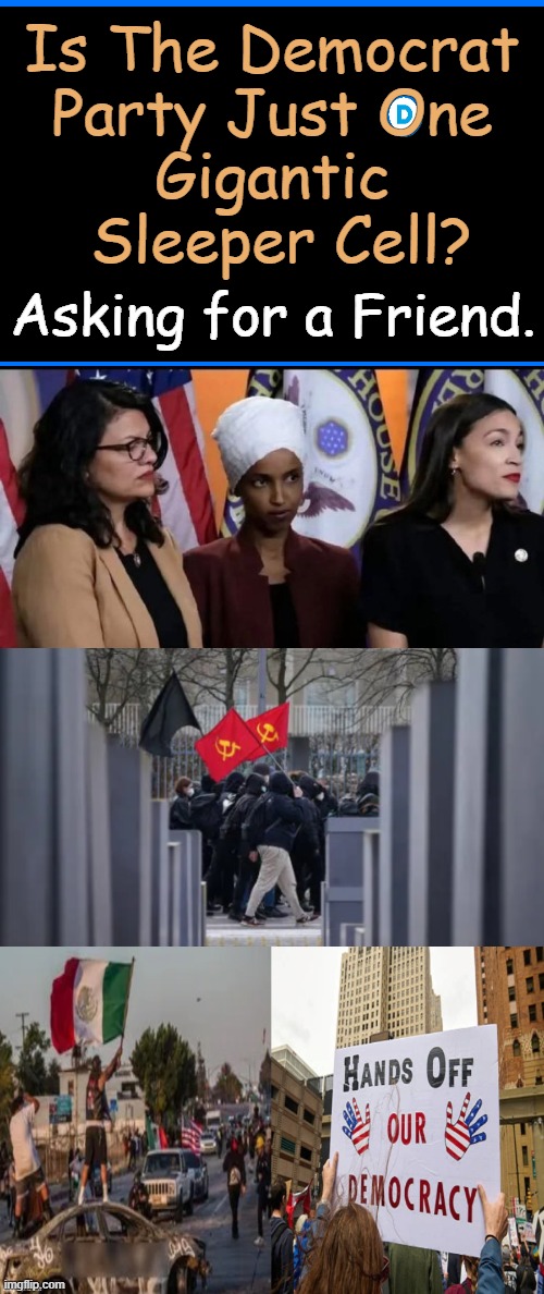 He has a point you know... | Is The Democrat 
Party Just One 
Gigantic 
Sleeper Cell? Asking for a Friend. | image tagged in democrat party,democratic socialism,communism socialism,sleeper cell,marxism,political humor | made w/ Imgflip meme maker