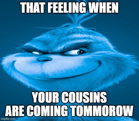 Blue Grinch | THAT FEELING WHEN; YOUR COUSINS ARE COMING TOMMOROW | image tagged in blue grinch | made w/ Imgflip meme maker